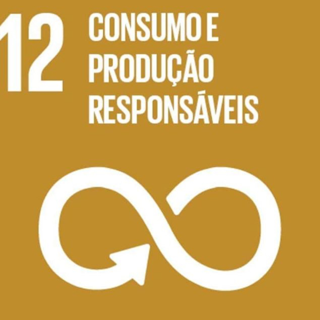 ODS 12